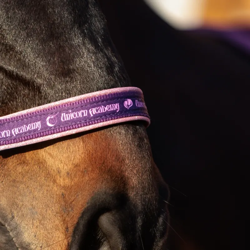 Halfter "Unicorn Academy"-Glitzer