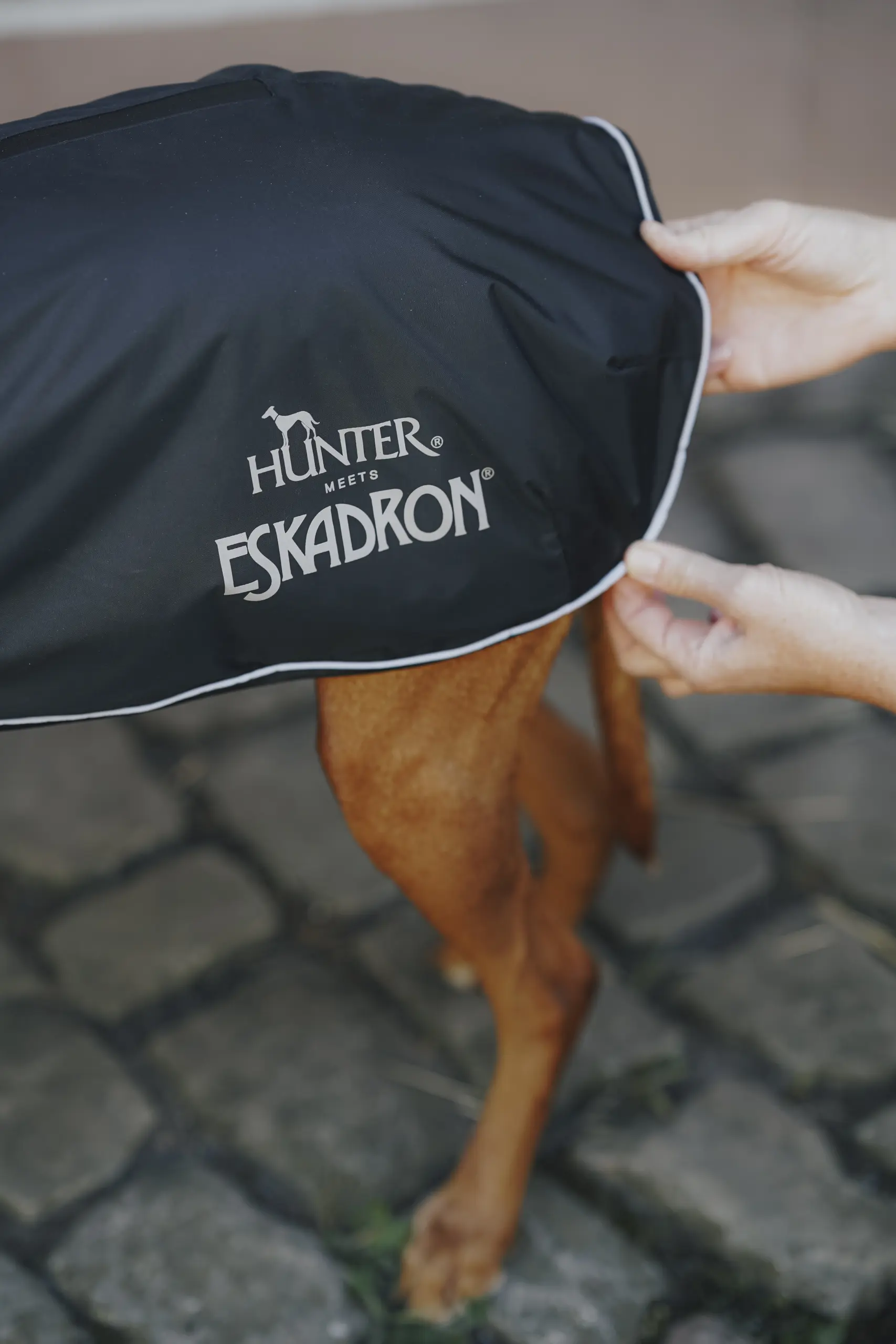 Hunde Wintermantel VARIO
