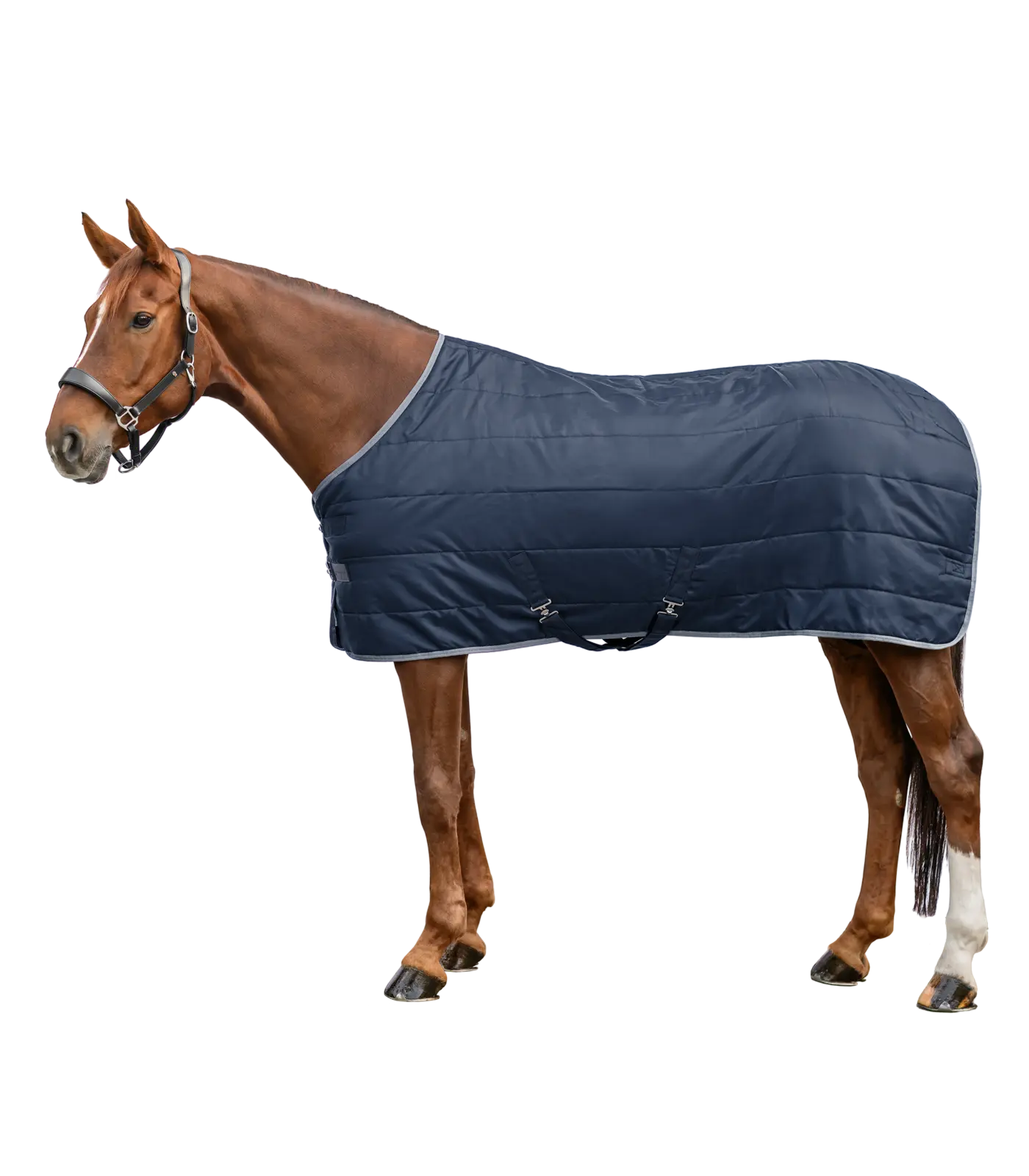 Stalldecke ECONOMIC , 200g