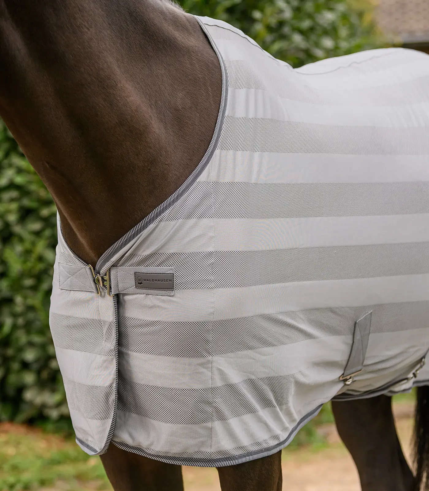 Fly blanket Economic