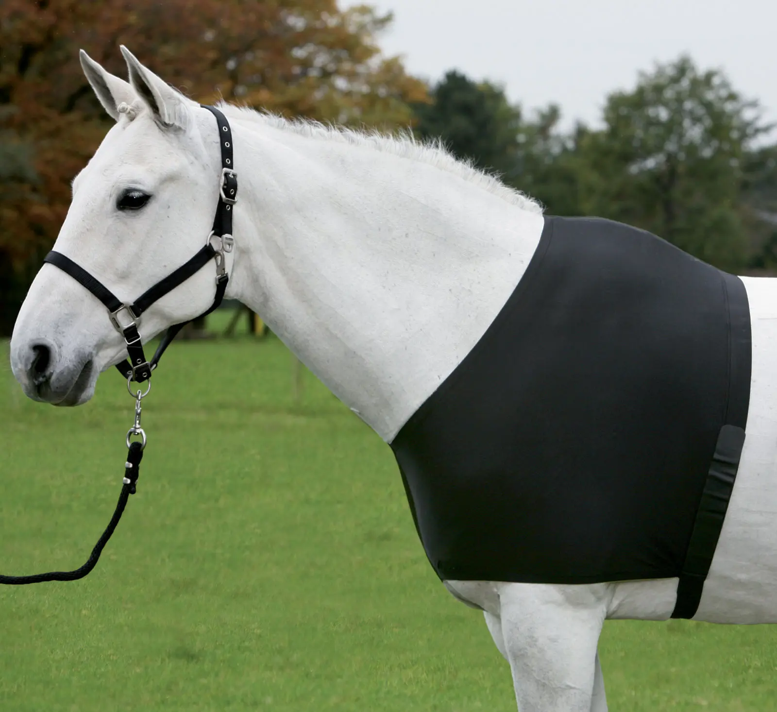Comfort Vest