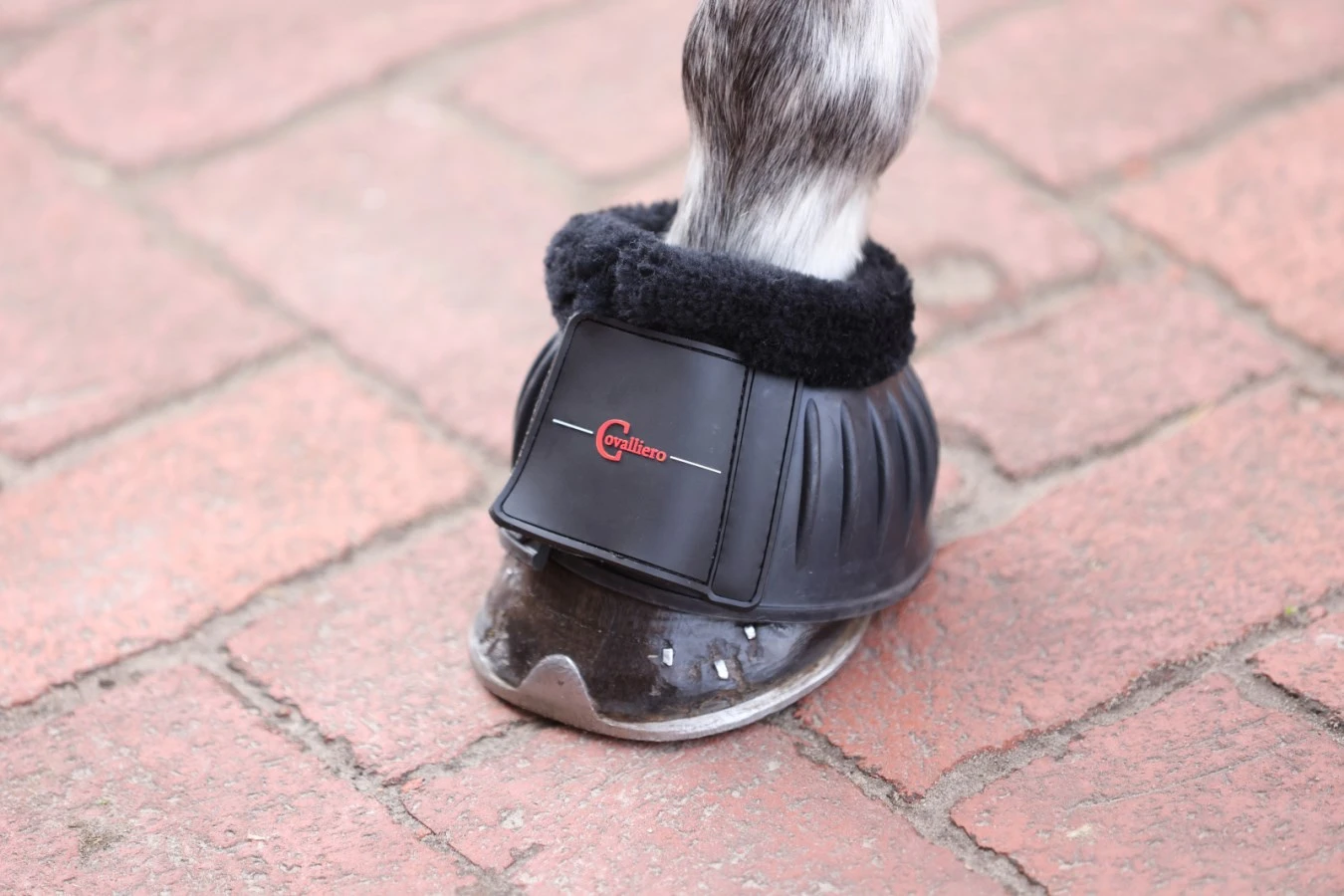 hoof boots RUBBER with teddy fleece