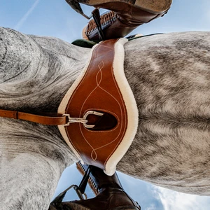 BUSSE Saddle Girth TAKE-OFF LINE LG