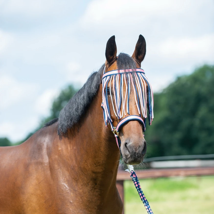 BUSSE Flystring Browband VISBY II