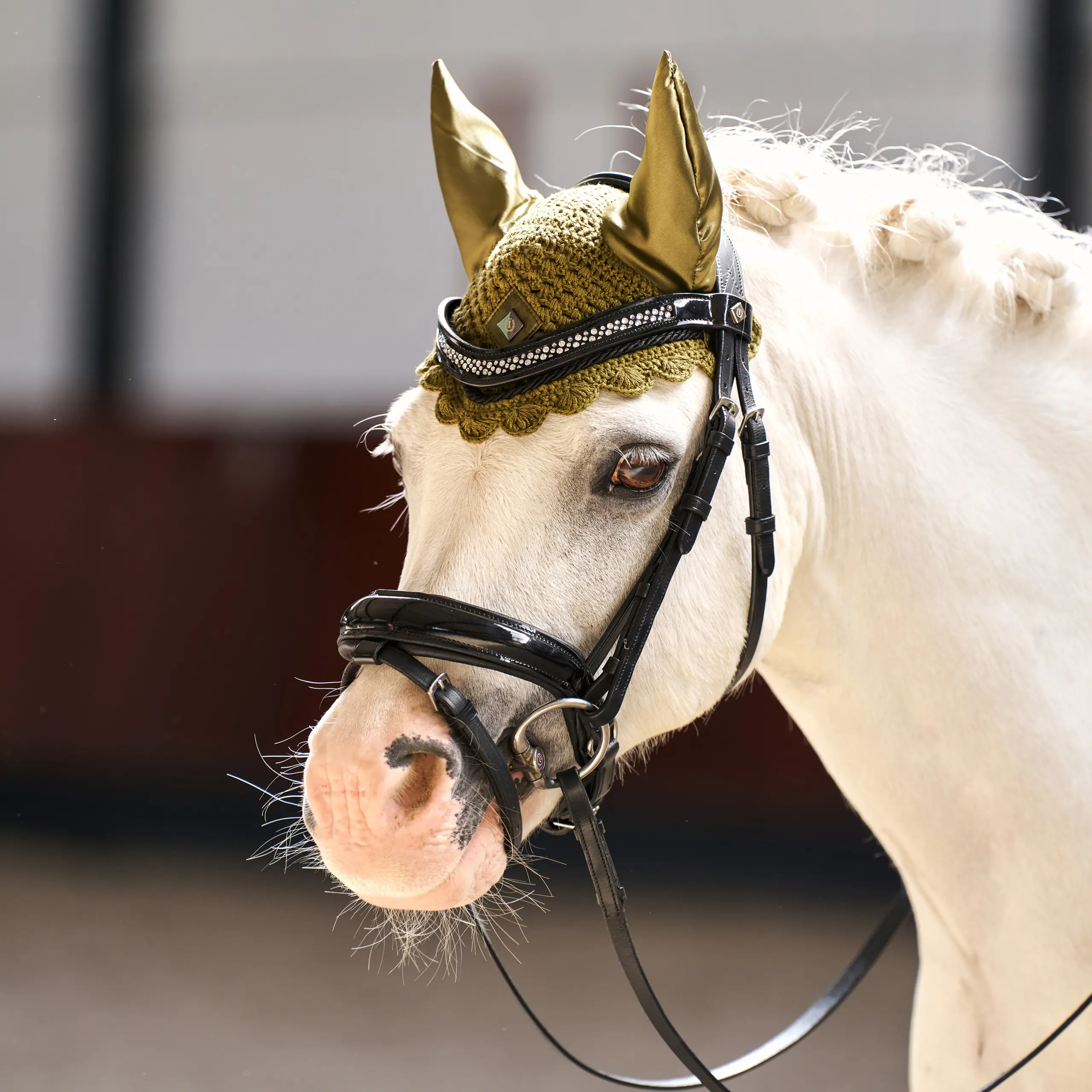 Fliegenhaube IRHRebel Sommer 2026