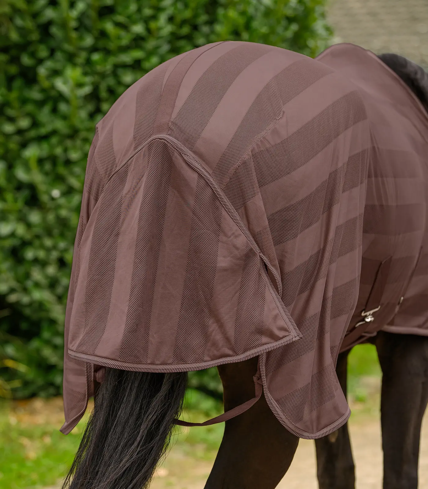 Fly blanket Economic