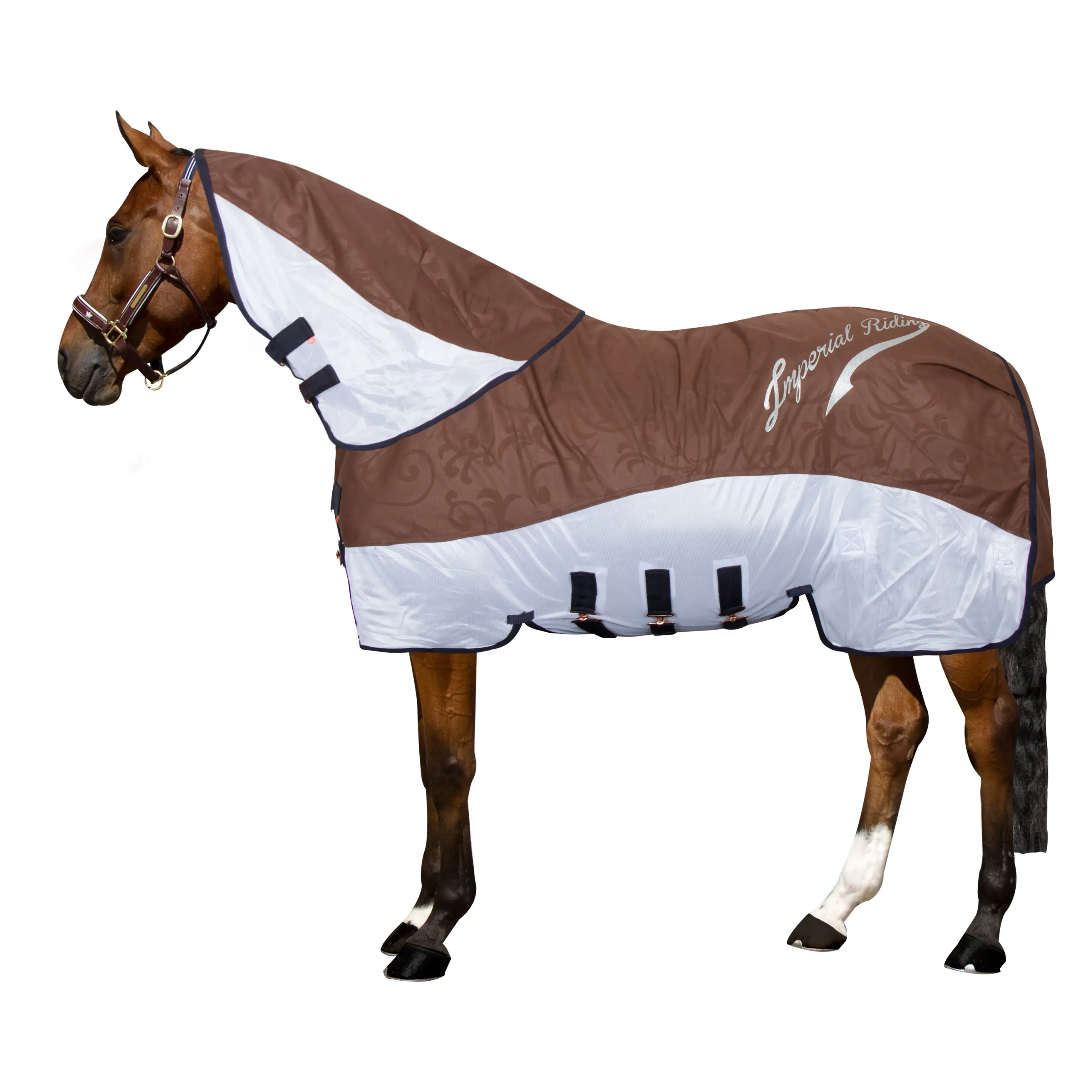 Neck piece for rain and fly blanket IRHSuper-dry Summer 2026