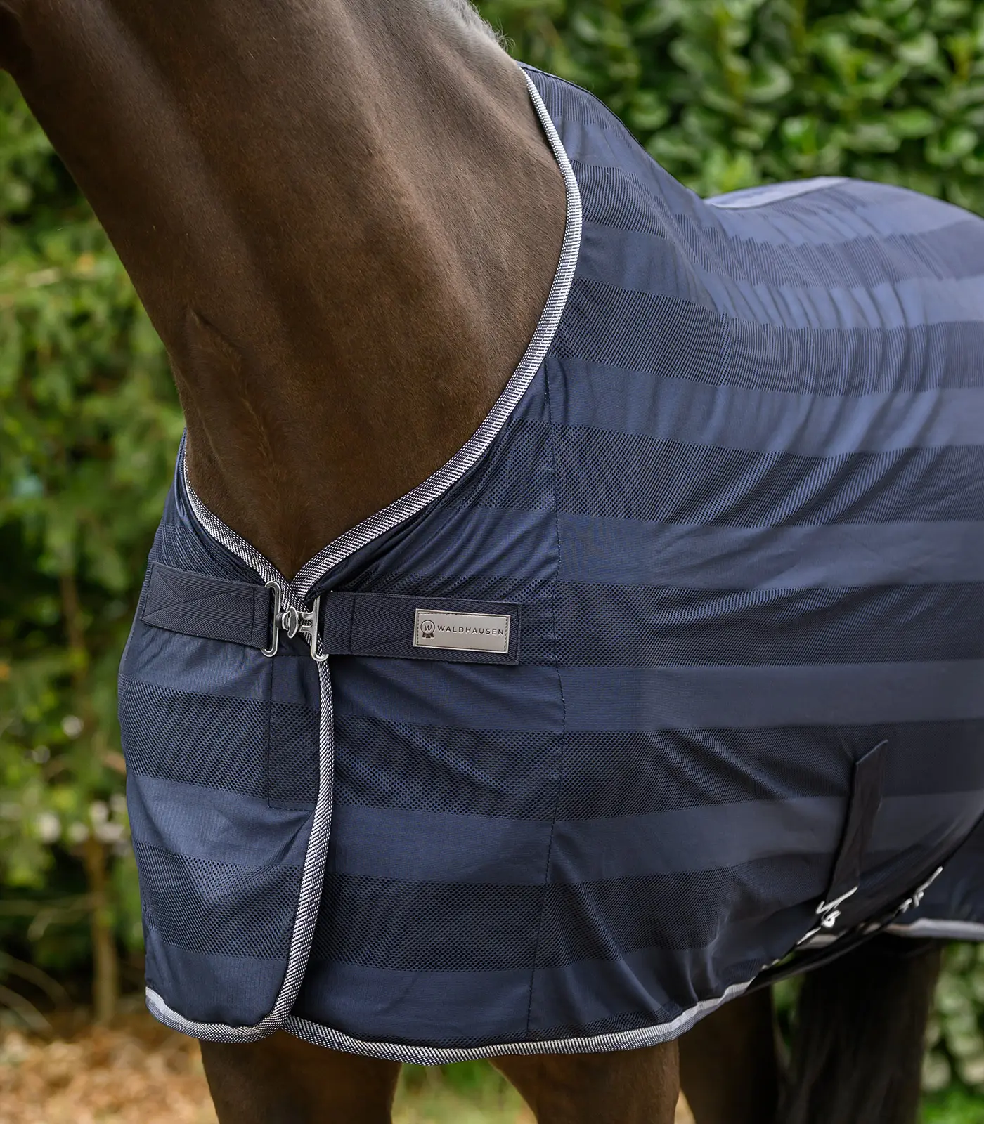 Fly blanket Economic