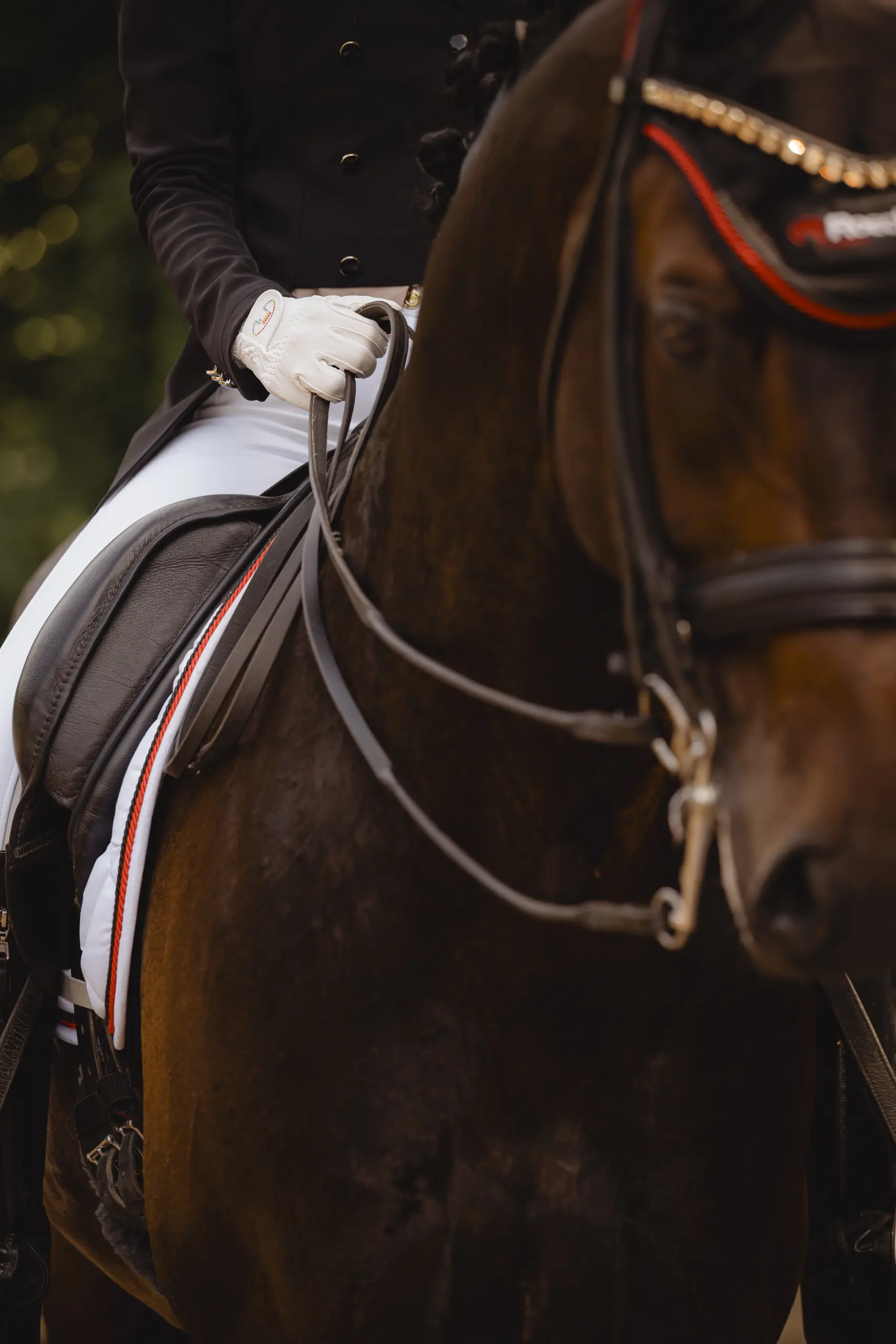 Unisex riding gloves MARNE