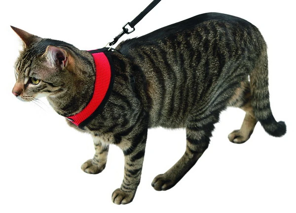 Cat Harness Activ