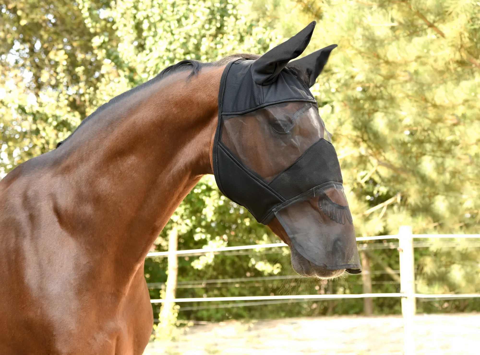 KERBL Fly mask black, with ear and nose protection