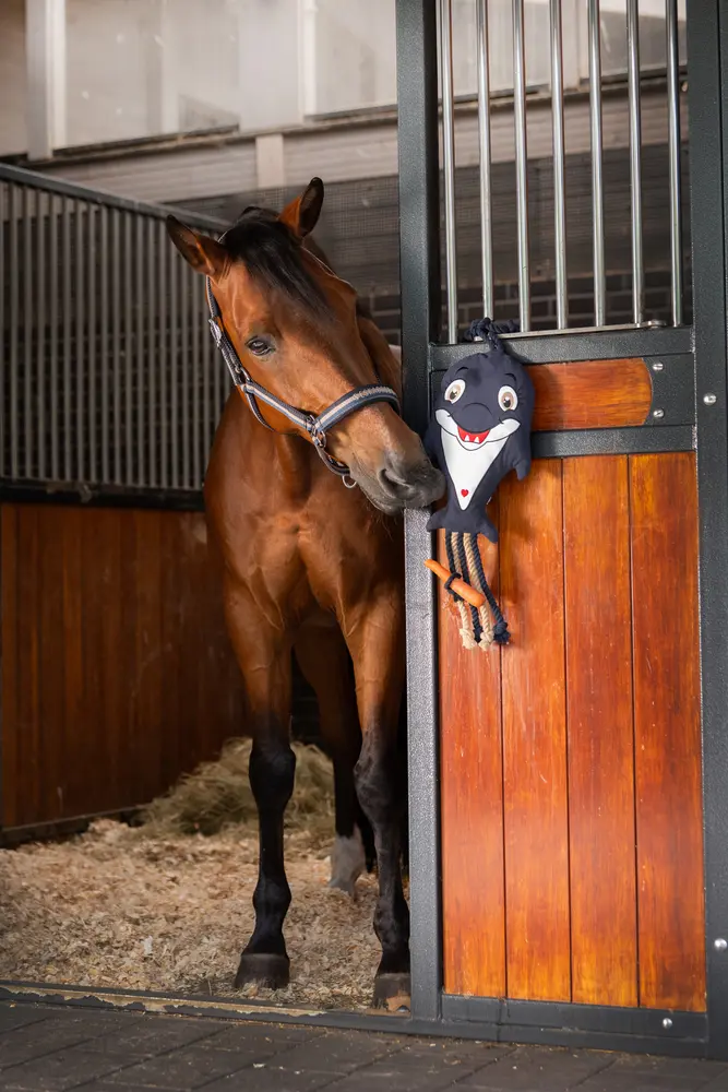Headcollar DOUBLE PIN Classic Sports 2026