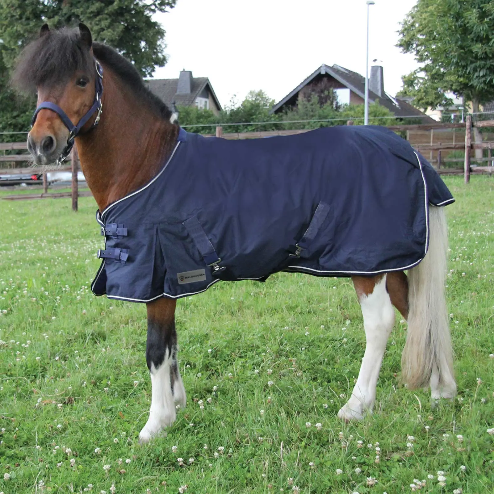 Shetty-Regendecke Light