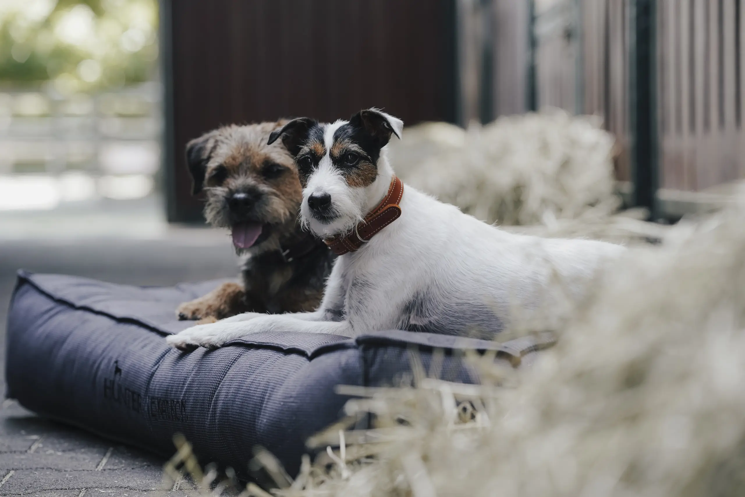 Hundebett CHESTER