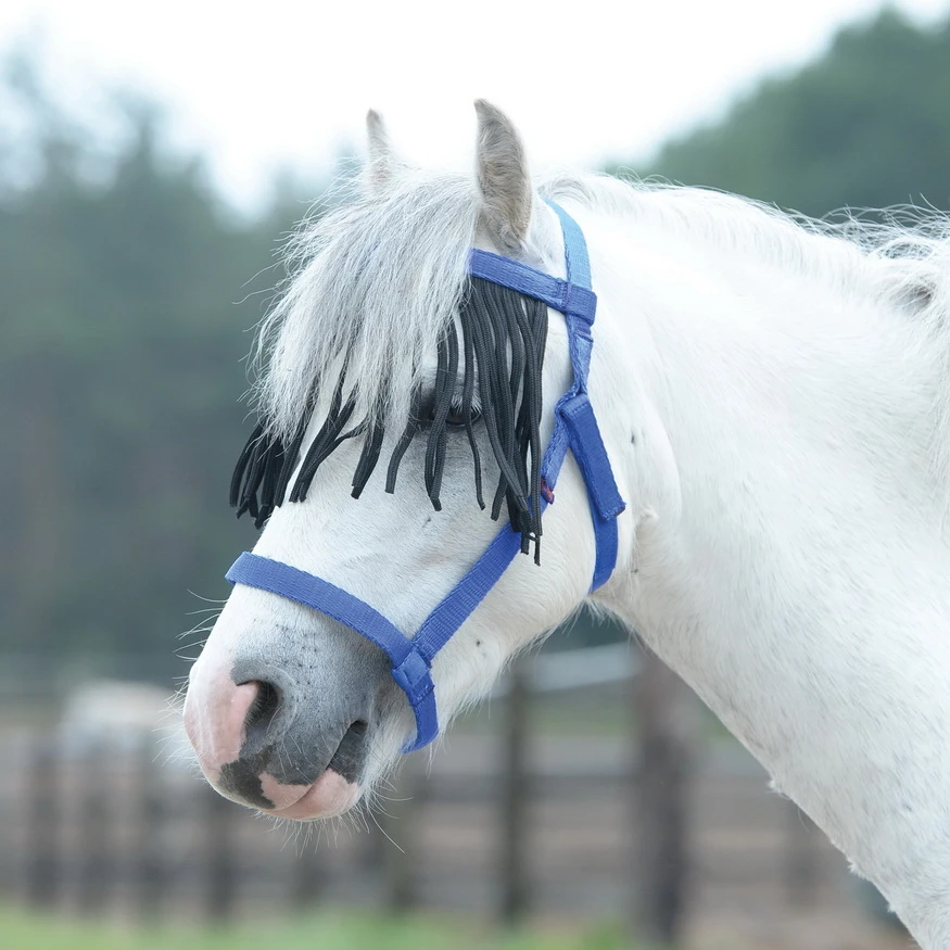 BUSSE Headcollar WEIDE-FRANSEN