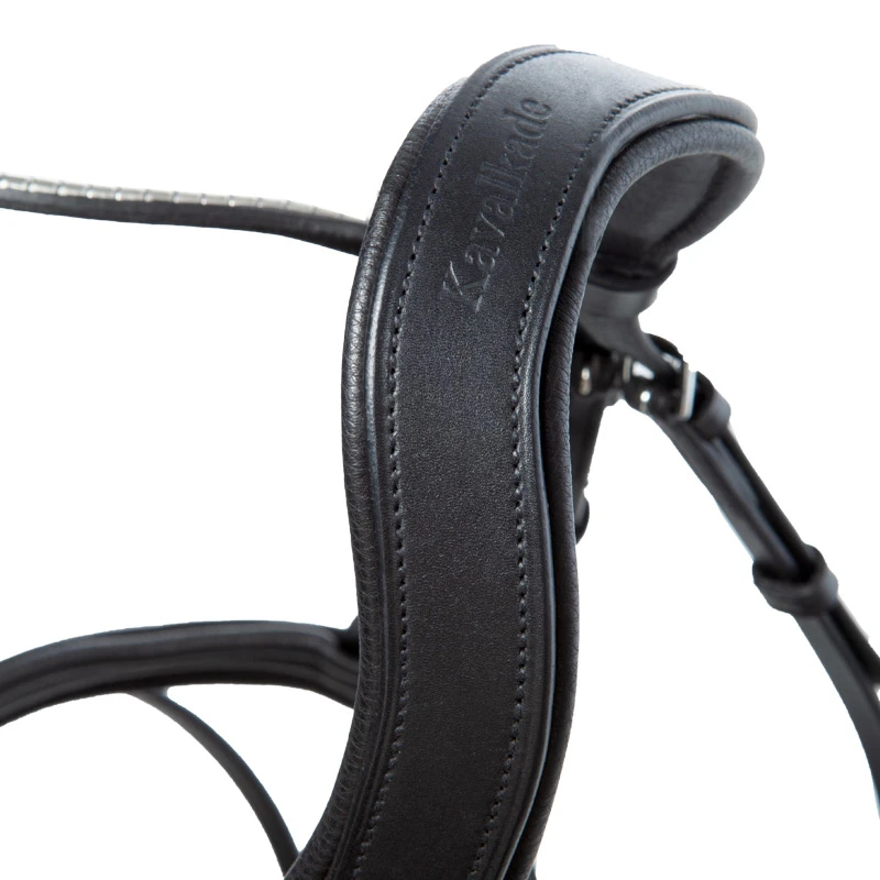 bridle CLINCHESSE english nb. with flash