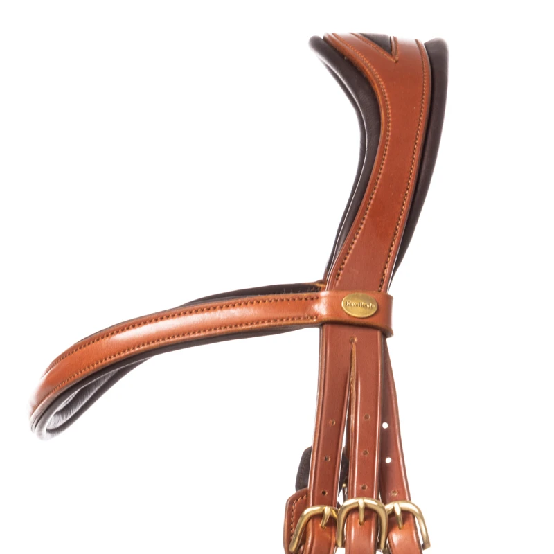 bridle "Robin" english nb. with flash