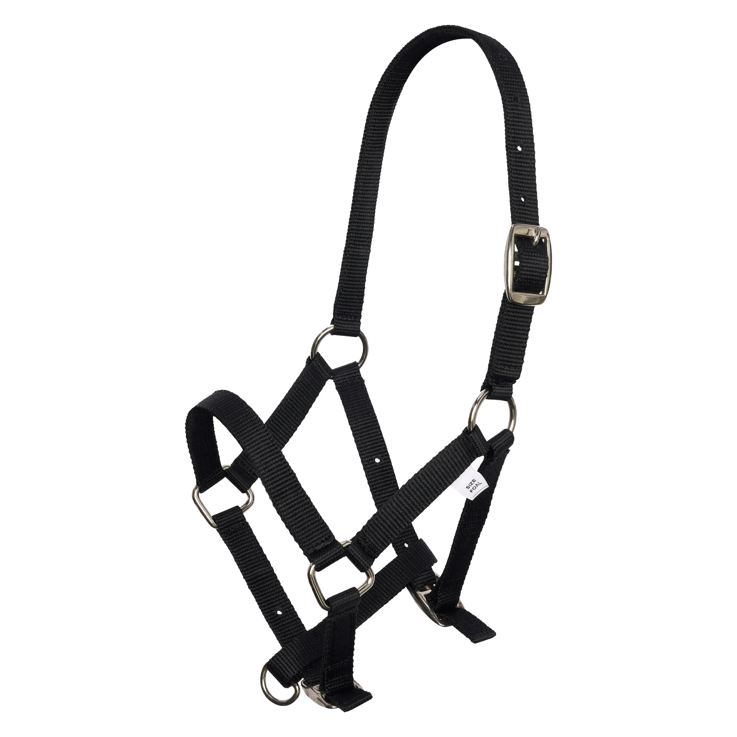 Headcollar foal IRH Summer 2026