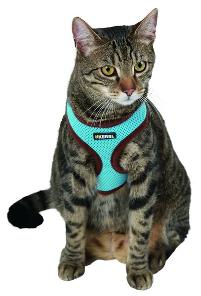 Cat Harness Activ