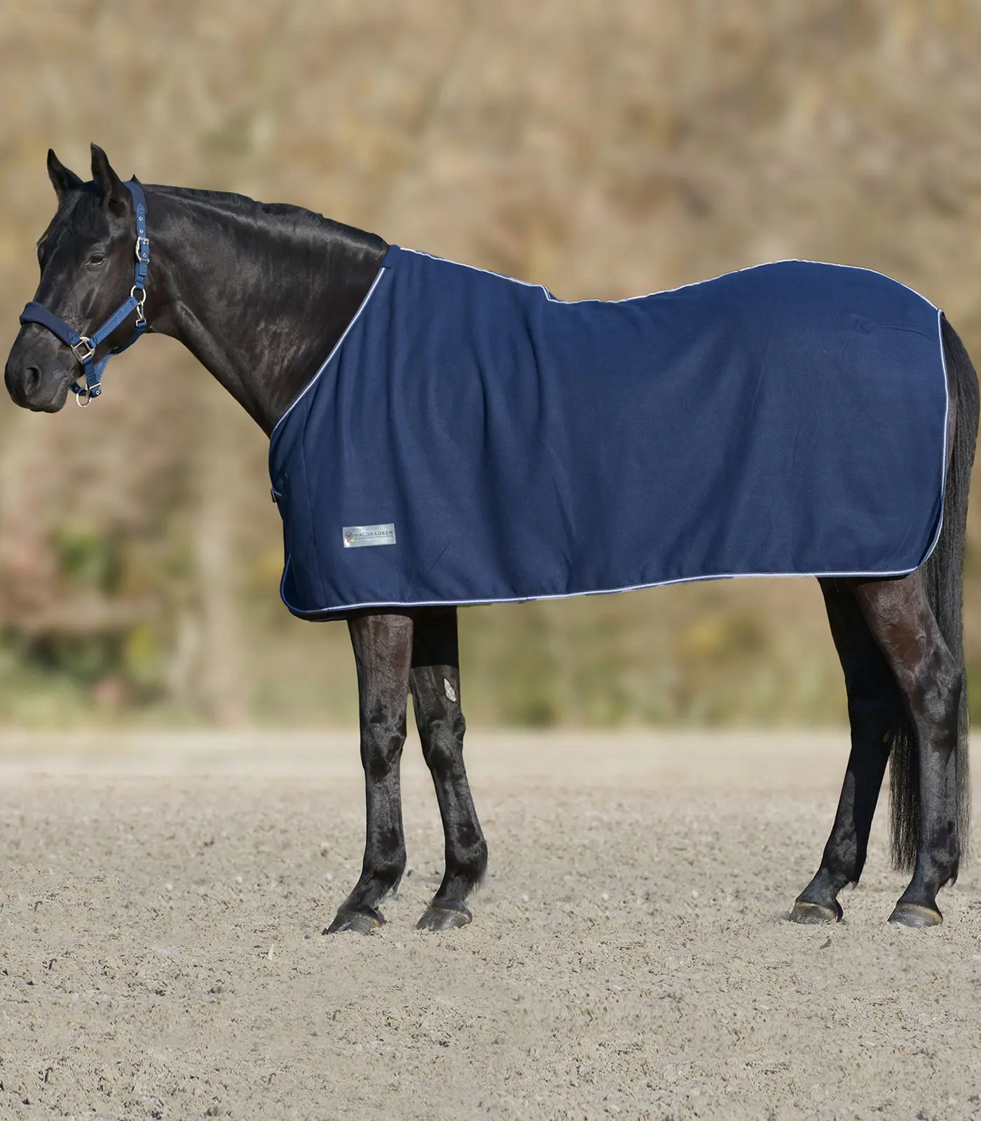 ECONOMIC fleece blanket
