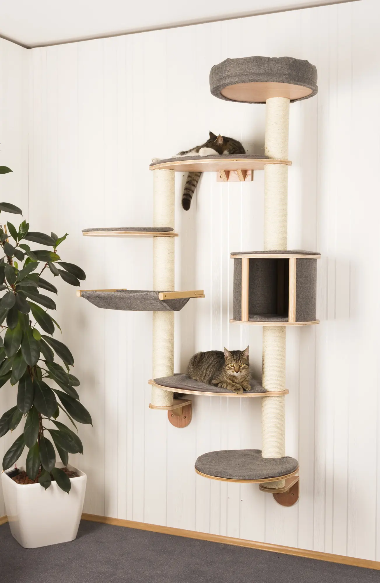 Wall-mounted cat tree Dolomit XL Tofana,185 x(115)cm, grey