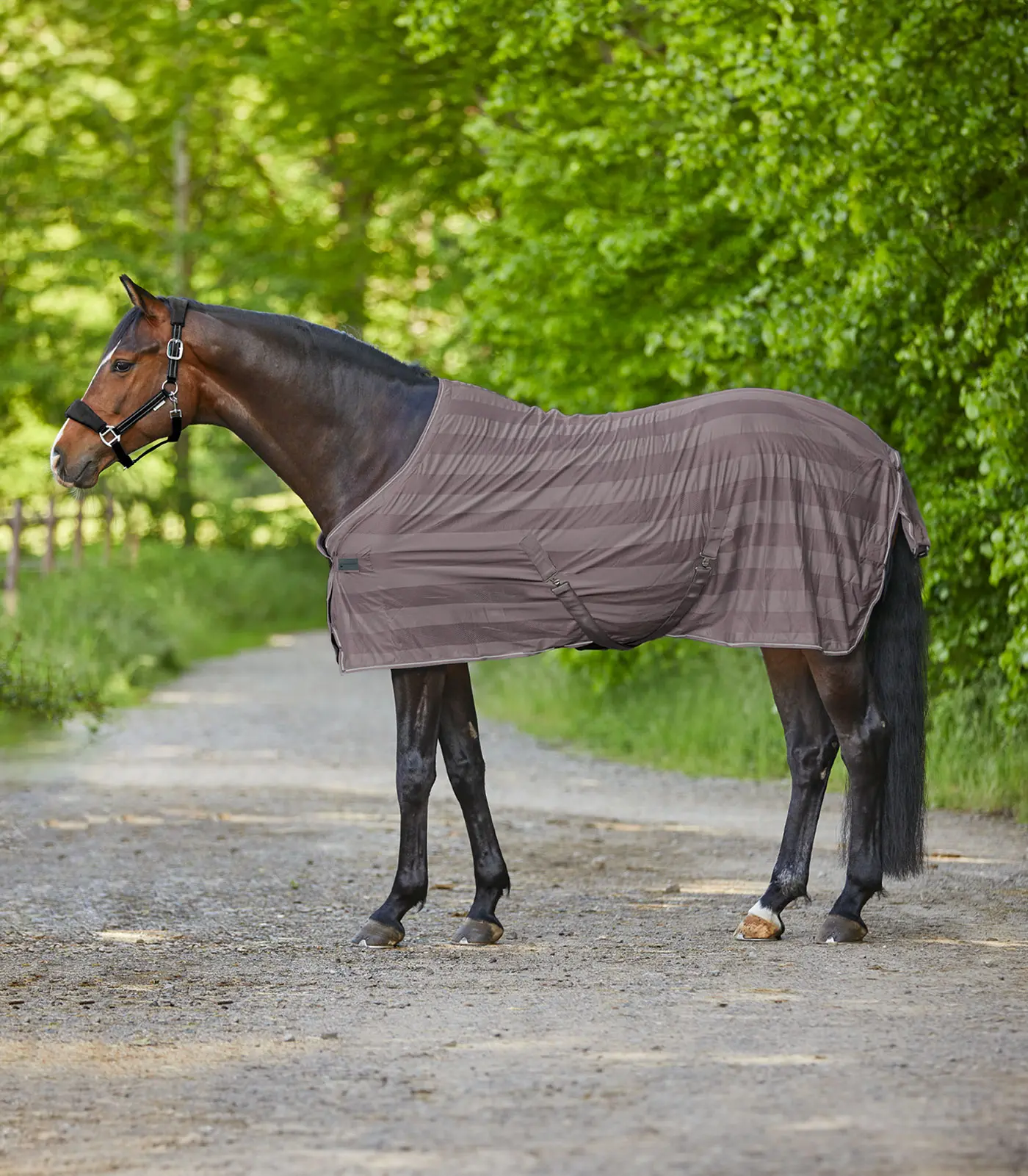 Fly blanket Economic