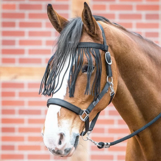 BUSSE Flystring Browband VISBY II