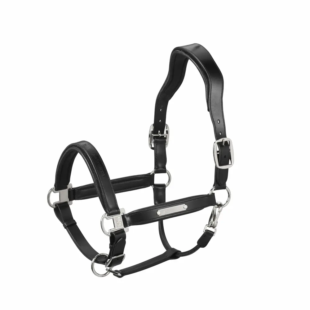 headcollar LEATHER STALLION CORE