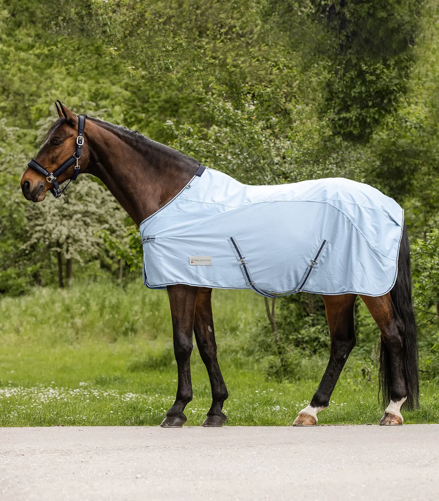 PROTECT Rain-Fly sheet