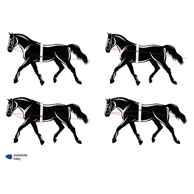BUSSE Double Lunging Reins SOFT-UMLENKROLLEN
