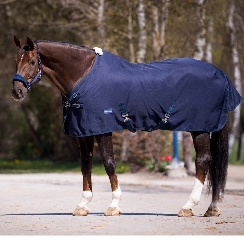 BUSSE Summer Rug EARLY SEASON