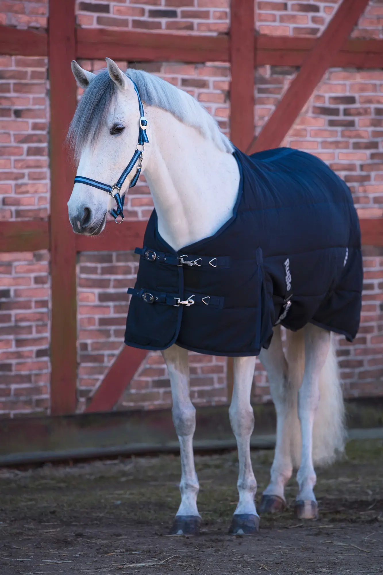 Stalldecke RUG BE INDOOR