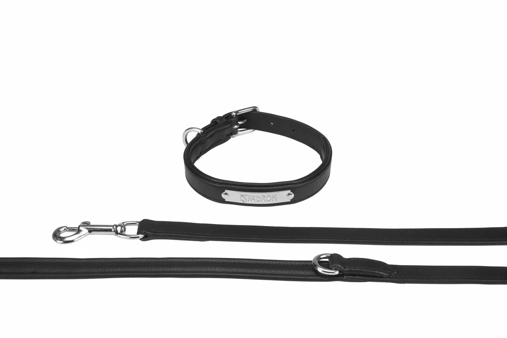 dog set LEATHER CORE black-silver