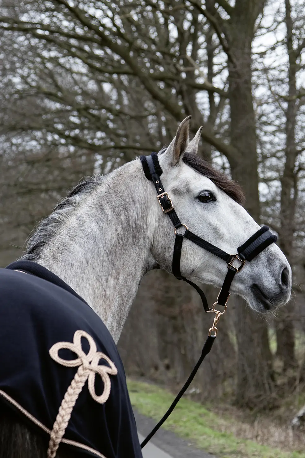 Head collar ROSEGOLD GLAMOUR Style