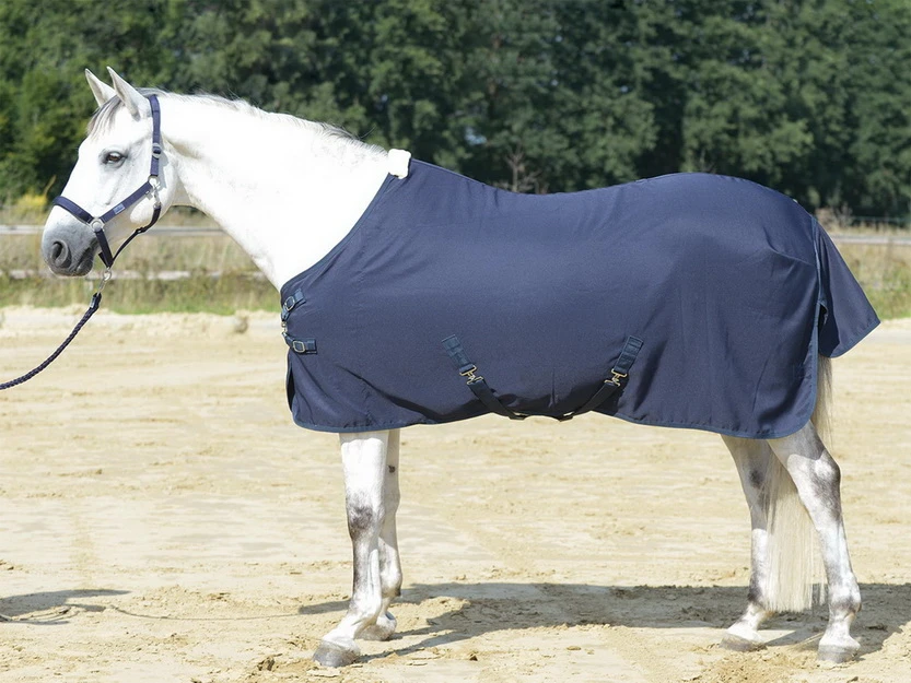 BUSSE Summer Rug EARLY SEASON
