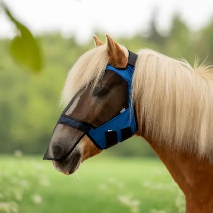 BUSSE Fly mask FLY GUARD FREE PLUS
