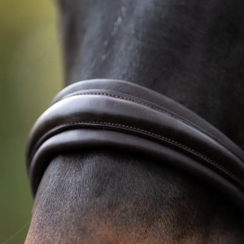 Dressur Trense ZORA mit schwed.-komb.Reithalfter