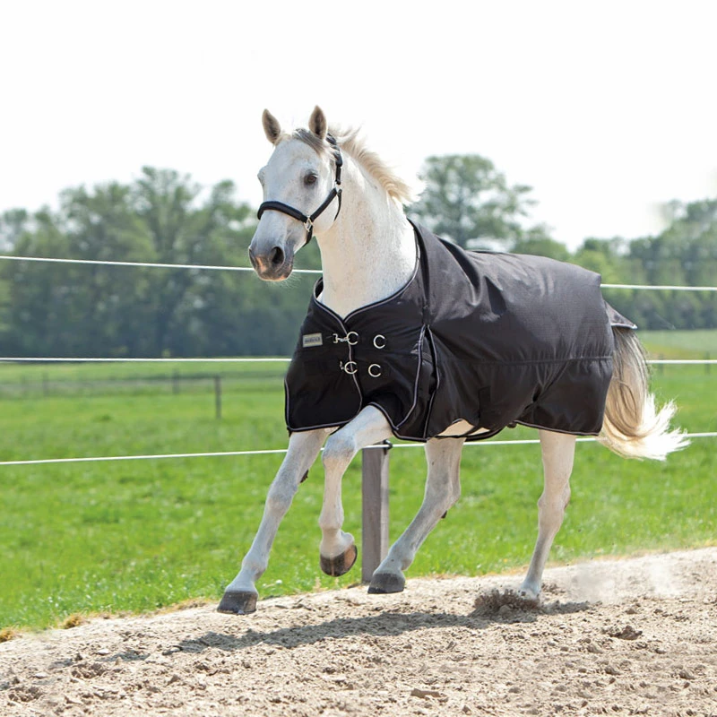 KAVALKADE "ALASKA IV" Outdoorrug 300g