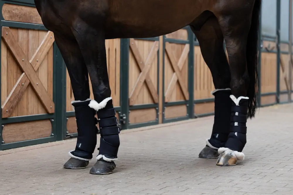 stable boots PADDING EVOWOOL Core