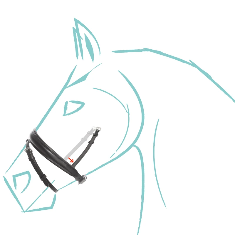 English special nosebands "Cre8" -with flash
