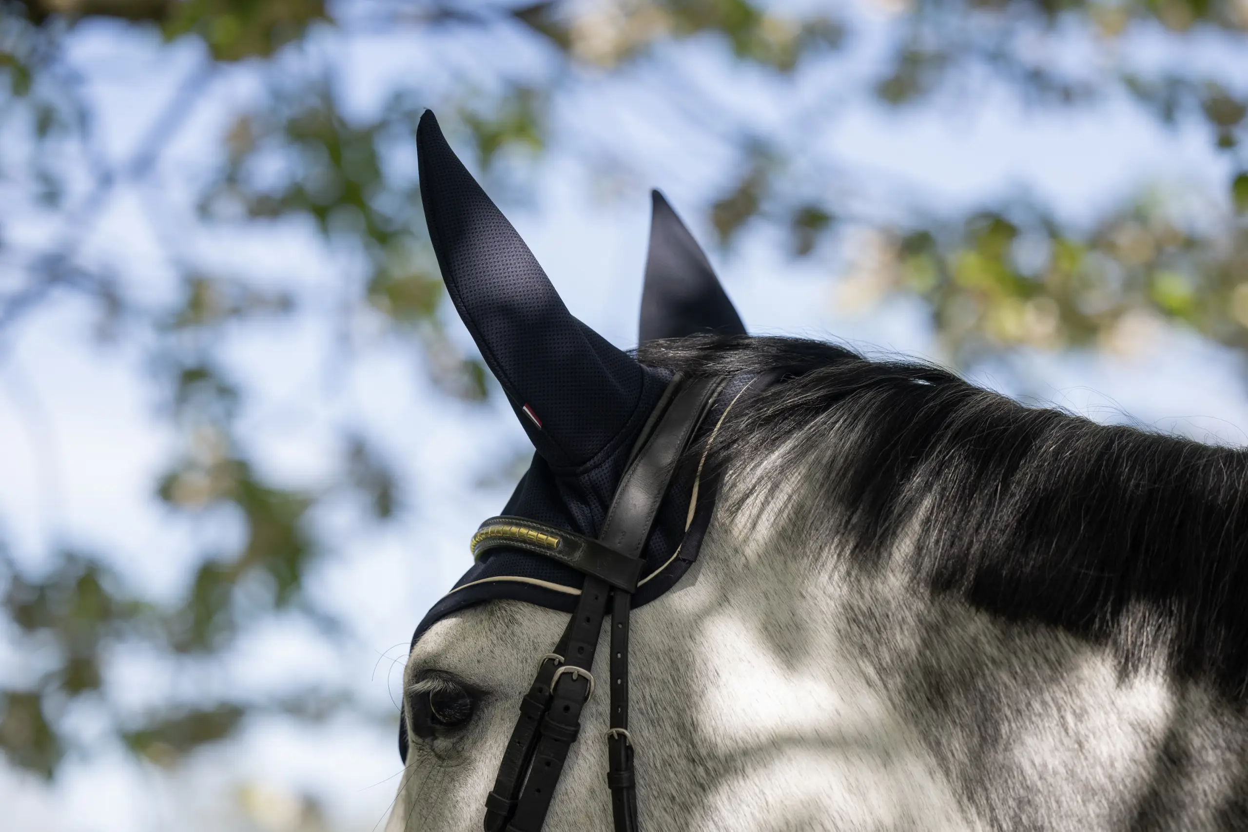 Kühlende Fliegenhaube KLLucca Sommer 2026