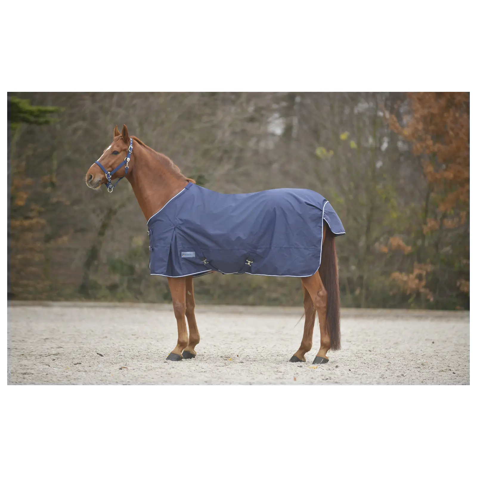 COMFORT Regendecke mit Kreuzbegurtung