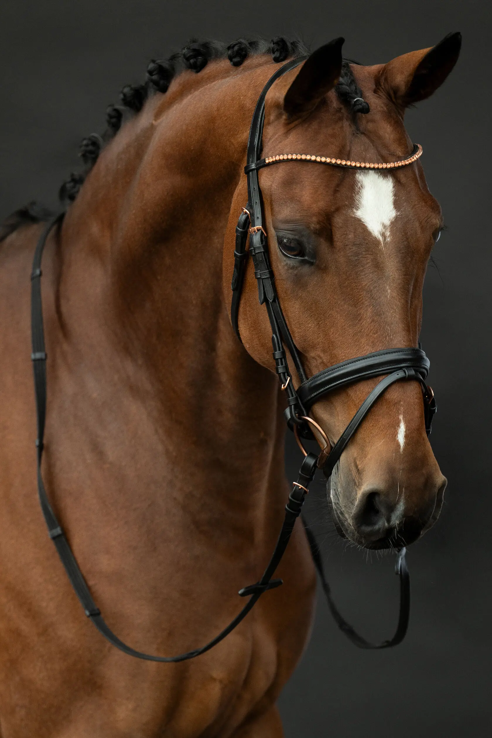 Trense ROSEGOLD GLAMOUR STYLE