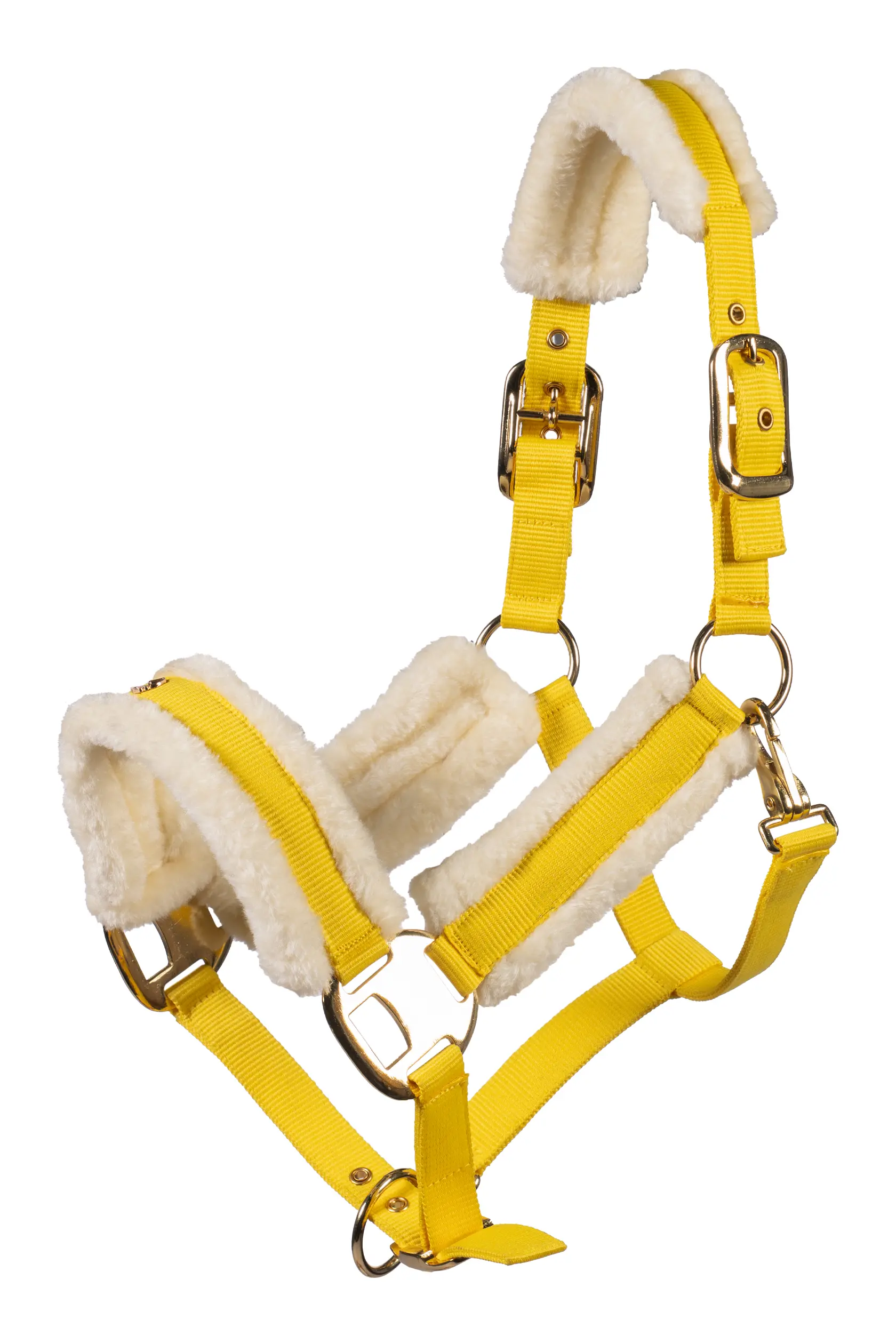 Halfter LIMONE ELEGANT Sommer 2026
