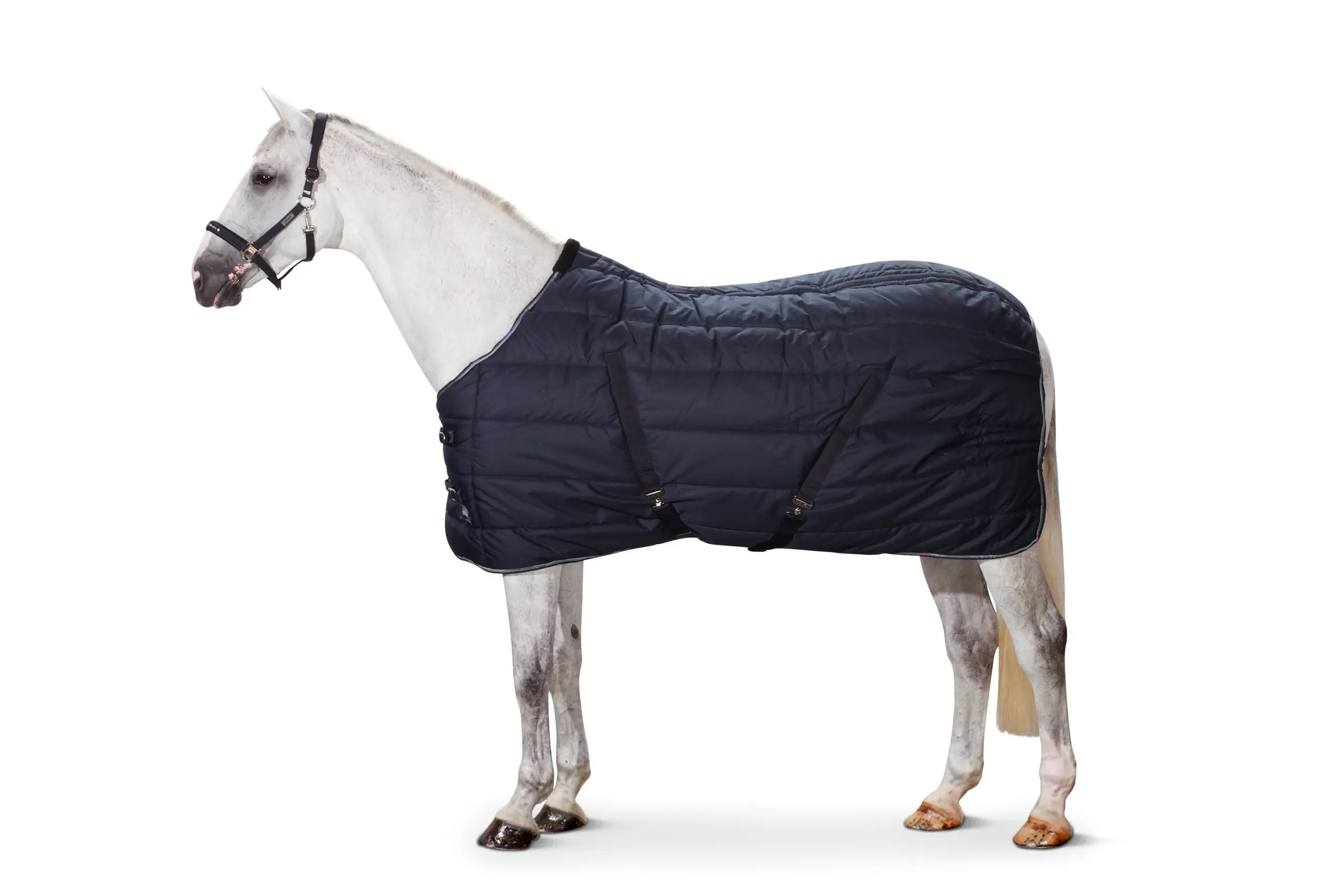 Basic Stalldecke RIPSTOP STABLE 200g