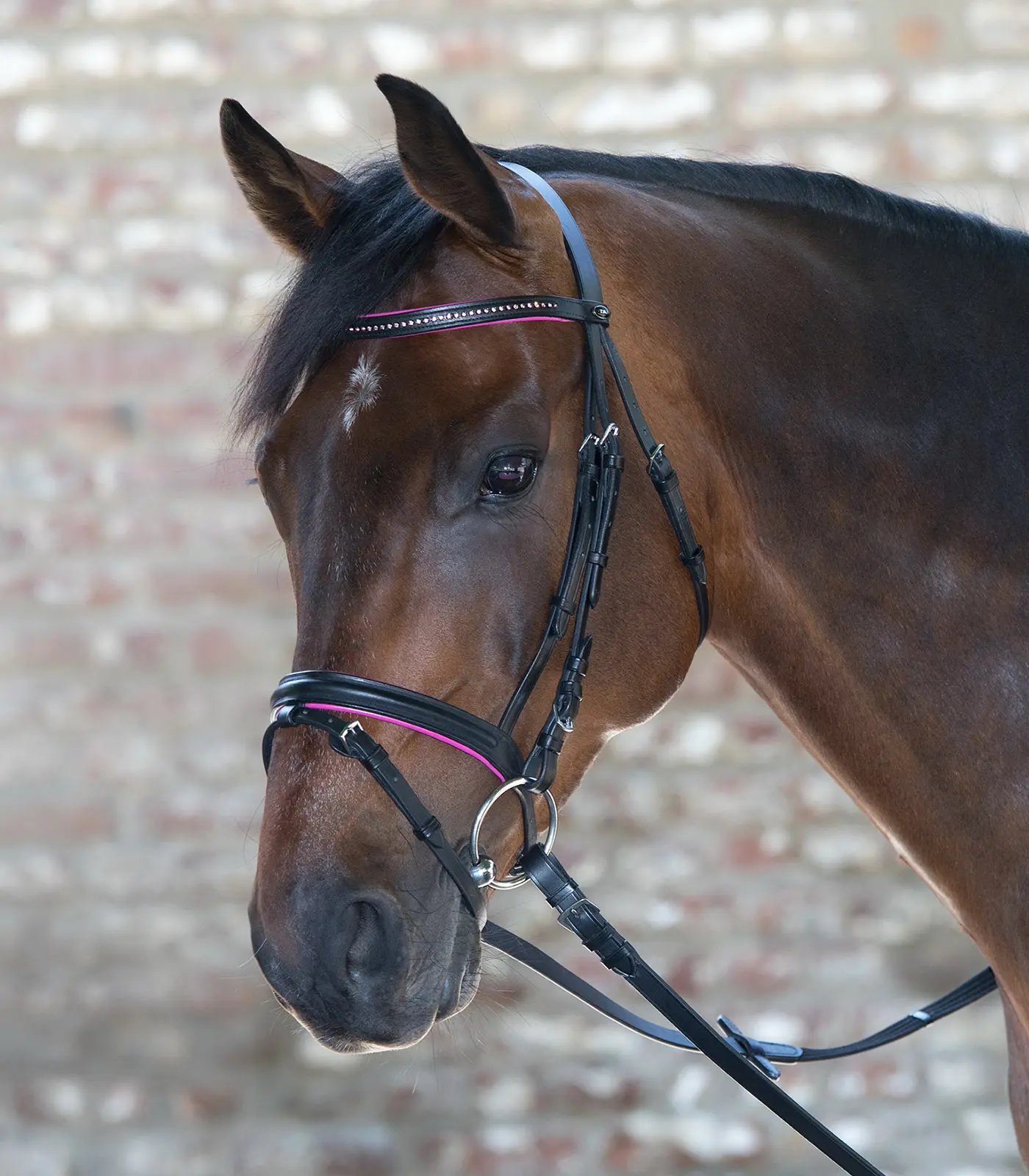 Bridle DIAMOND