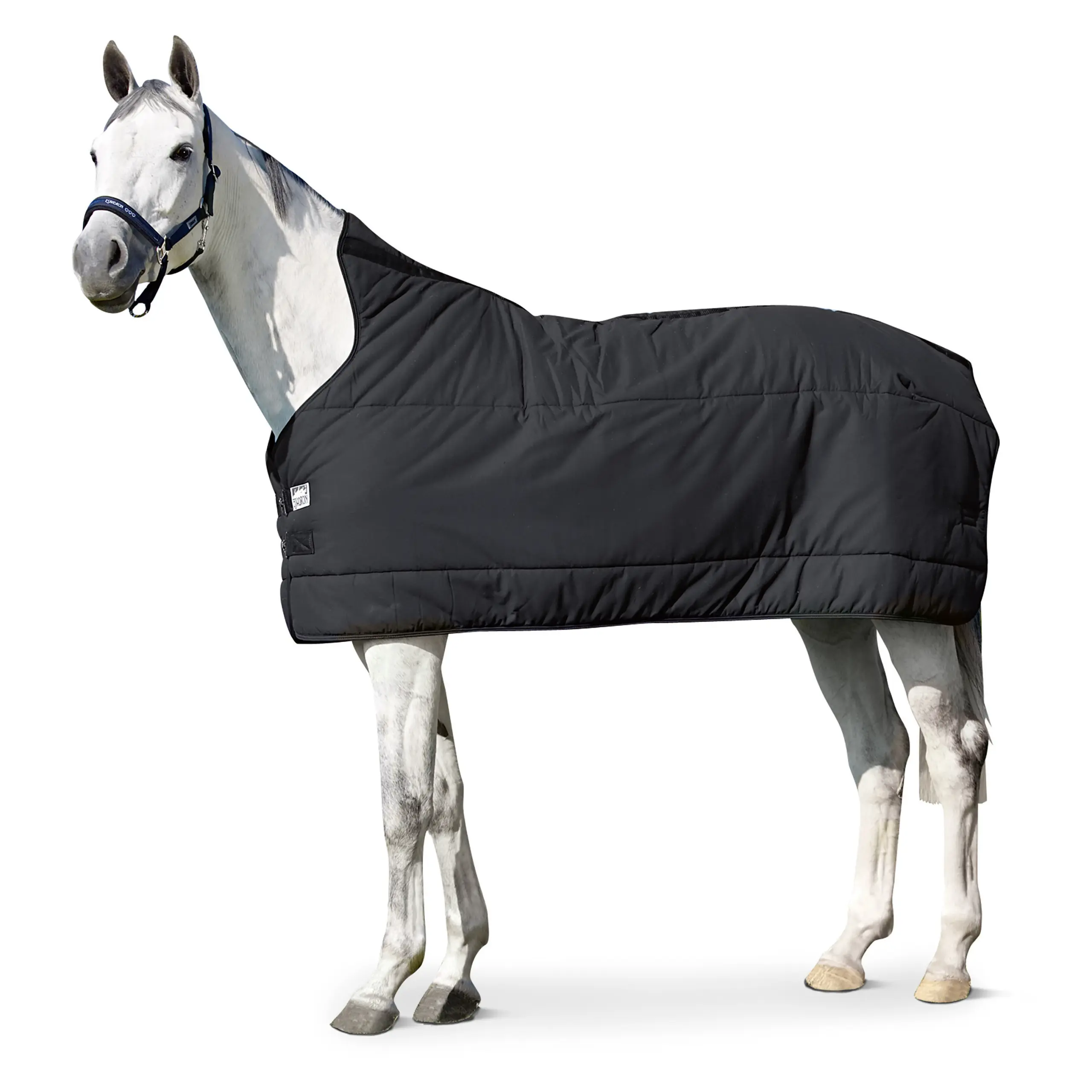 Basic Unterdecke THERMO COTTON 240g