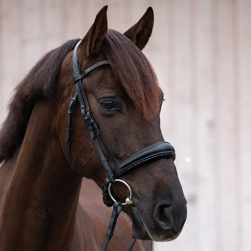 bridle VIKTORIA crank nb. with flash