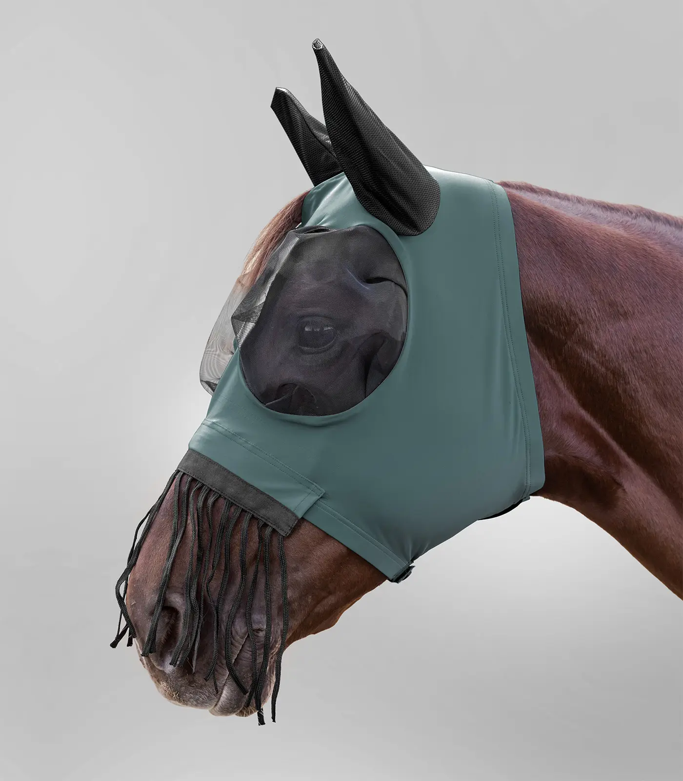 PUCK fly mask with nose fringes