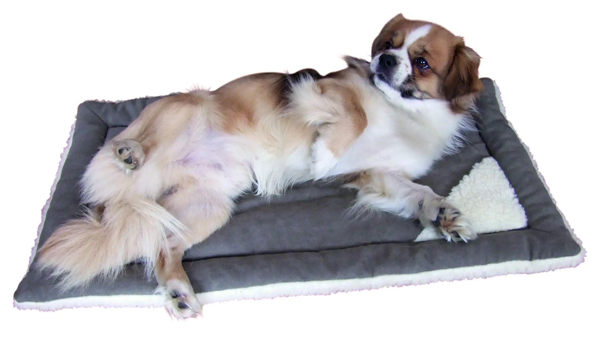 Pet Bed Cleo